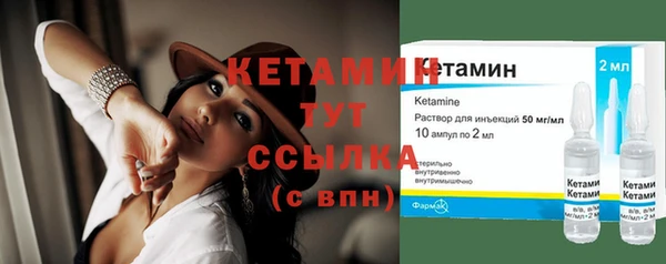 прущие грибы Приозерск