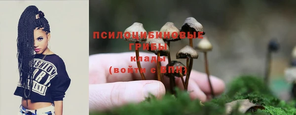 стафф Арсеньев