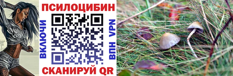 Псилоцибиновые грибы Psilocybe  где купить наркоту  Мышкин 